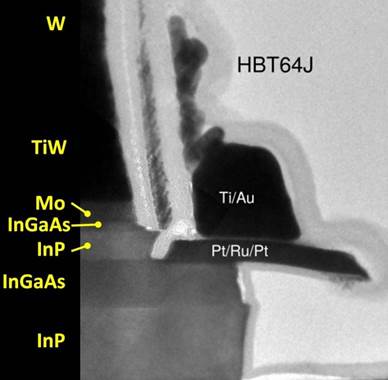 A close-up of a x-ray

Description automatically generated