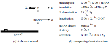 Gene feedback