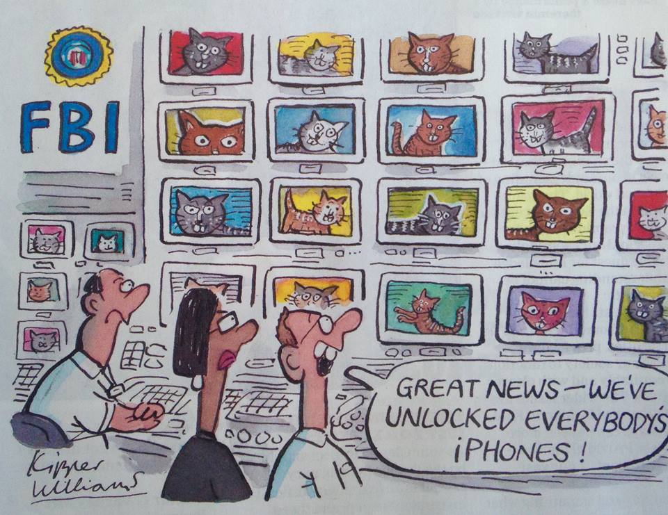 Cartoon poking fun at the FBI unlocking every iPhone to find only cat photos