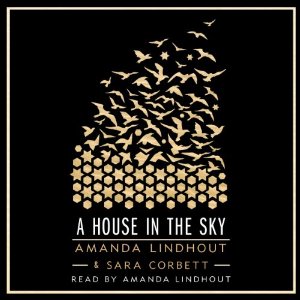 Cover image of the audiobook 'A House in the Sky'