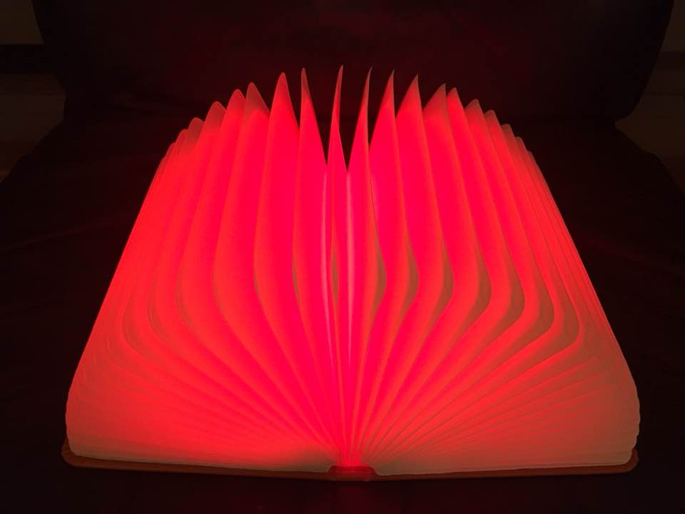 Book light that looks like a book when closed
