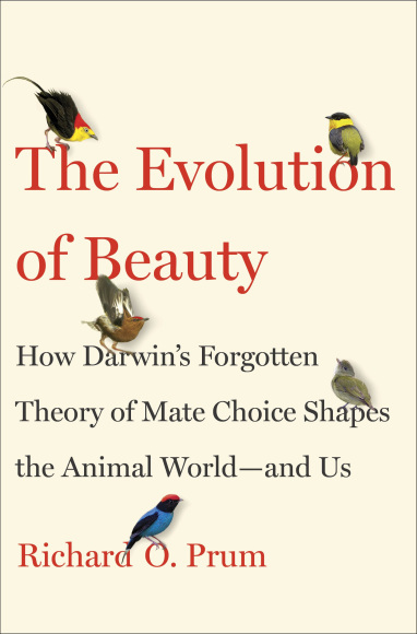 Cover image of the new book 'The Evolution of Beauty'