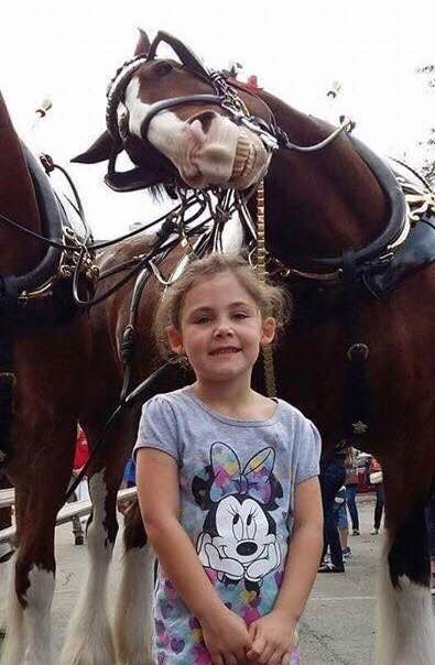 Girl and photobombing horse in Disneyland?