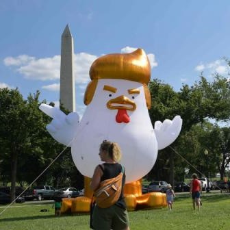 Giant chicken balloon, seen near the White House