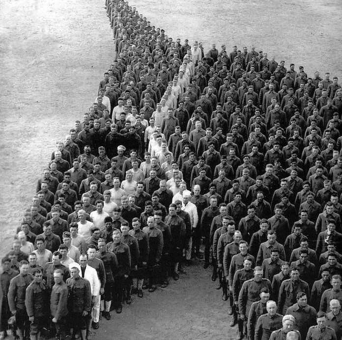 Paying tribute to horses, donkeys, and mules that died during World War I