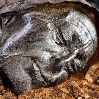 Tollund Man, a perfectly preserved 2300-year-old corpse