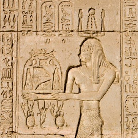 Merit Ptah, perhaps the first woman of science to be known by name, practiced medicine ~5000 years ago in Egypt