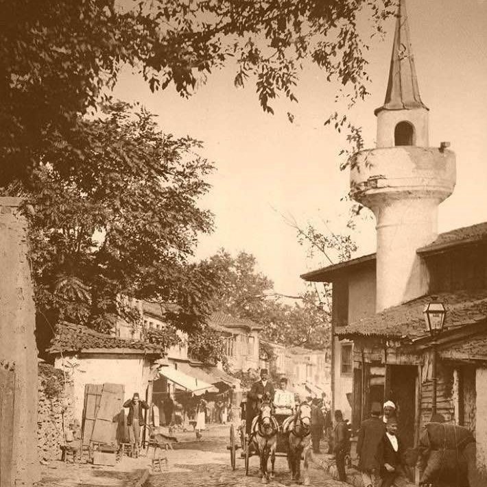 Street in Istanbul, Turkey, 1898