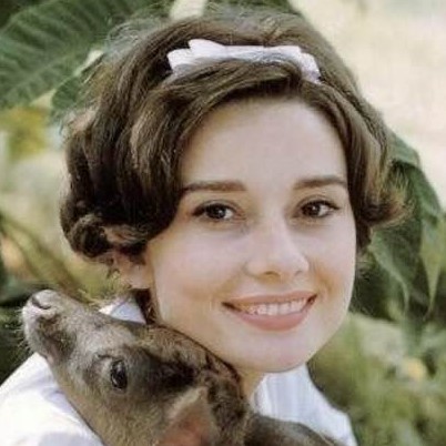Audrey Hepburn, with pet deer Pippen, 1958