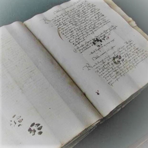 Many centuries ago, a cat walked over an Italian manuscript, leaving its paw prints on the document forever, 1445