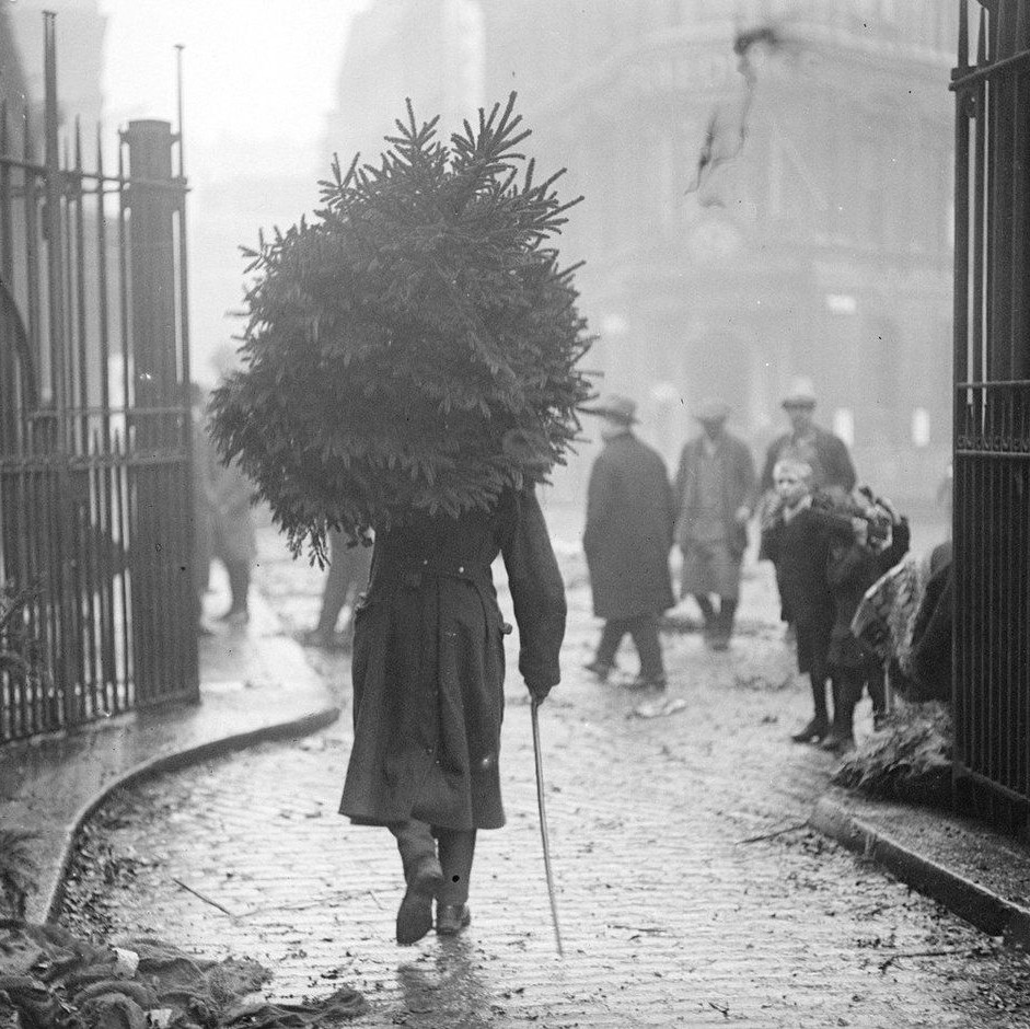Soldier carrying a Christmas tree home, 1915