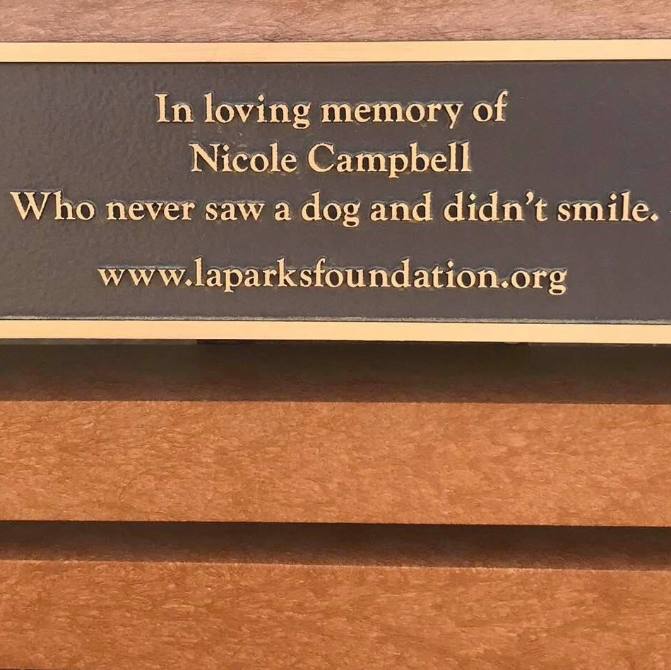 Poorly worded memorial message on a bench