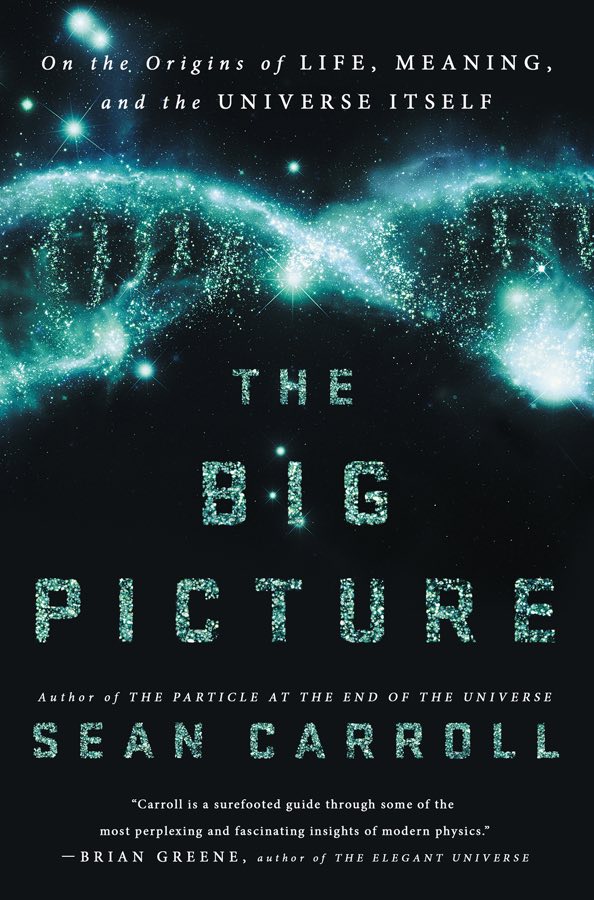 Cover image for Sean Carroll's 'The Big Picture'