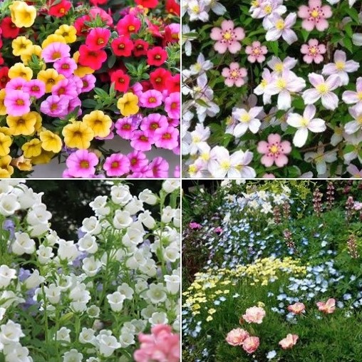 Colorful flowers, in 4 panels