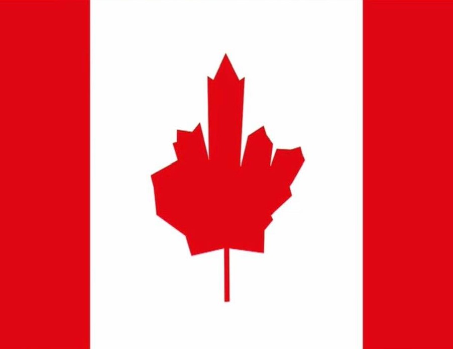 The new Canadian flag since Trump's election