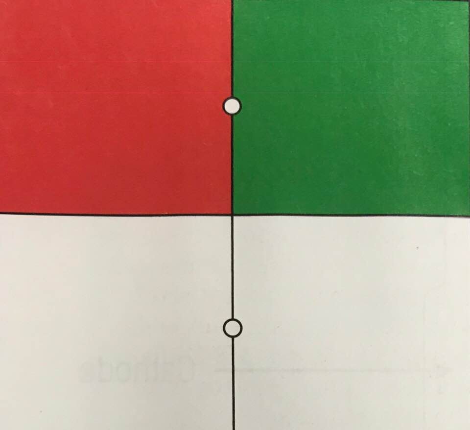 Visual puzzle: Stare at the upper white dot in this image for a while. Then, stare at the lower white dot. Explain the faint red color you see on the lower right and the faint green color on the lower left