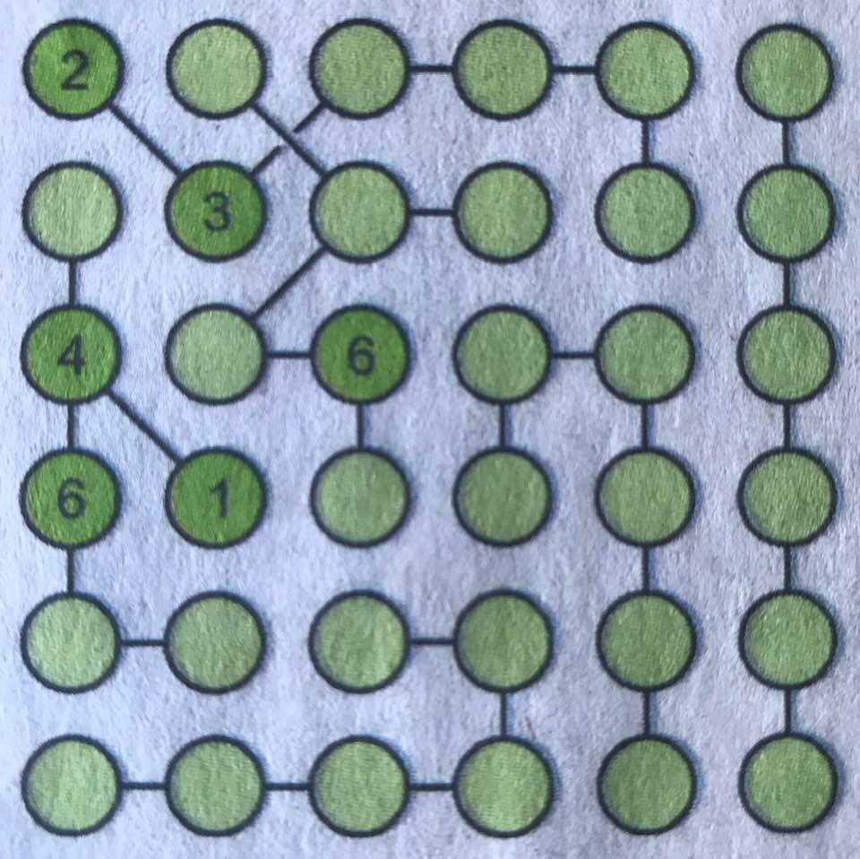 A variation on Sudoku: Each row, column, and stream (connected set of circles) should contain all the numbers 1 to 6