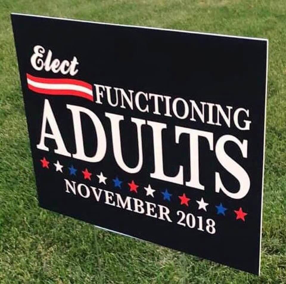 Best election advice: Elect functioning adults