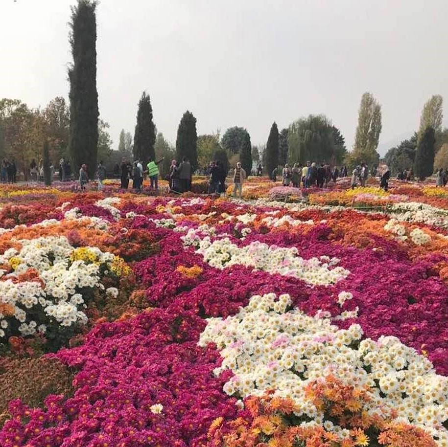 Botanic gardens in Karaj, near Tehran, Iran, photo 1