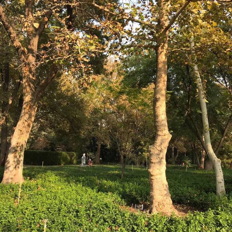 Botanic gardens in Karaj, near Tehran, Iran, photo 4