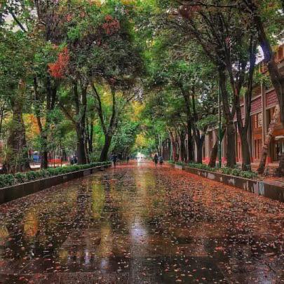 Street in the central city of Isfahan, Iran, after rain.