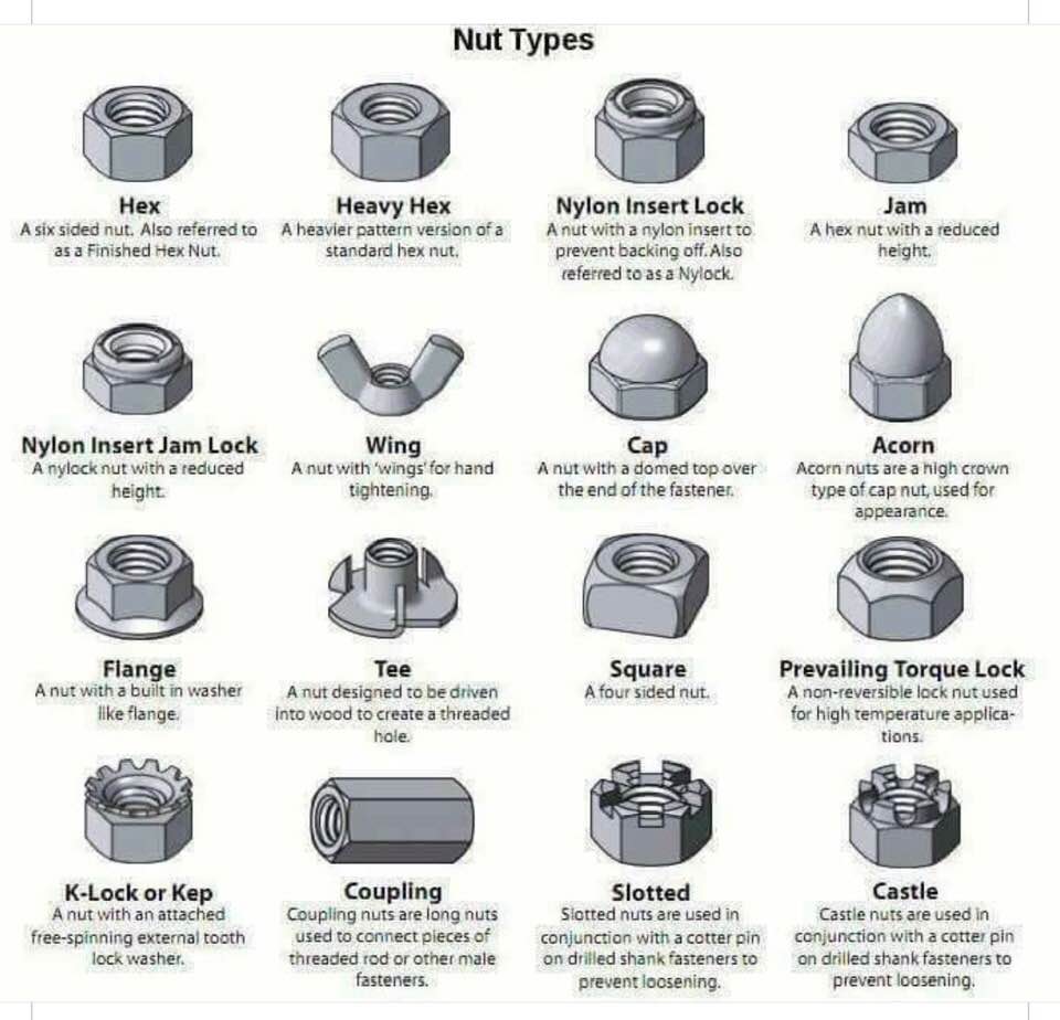 Types of nuts, excluding nuts like me and you!