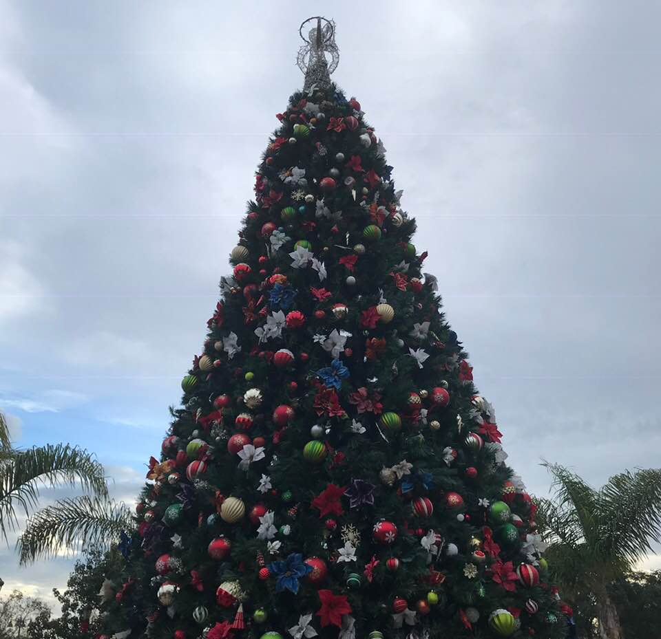 The top half of the Christmas tree at the Camino Real Marketplace