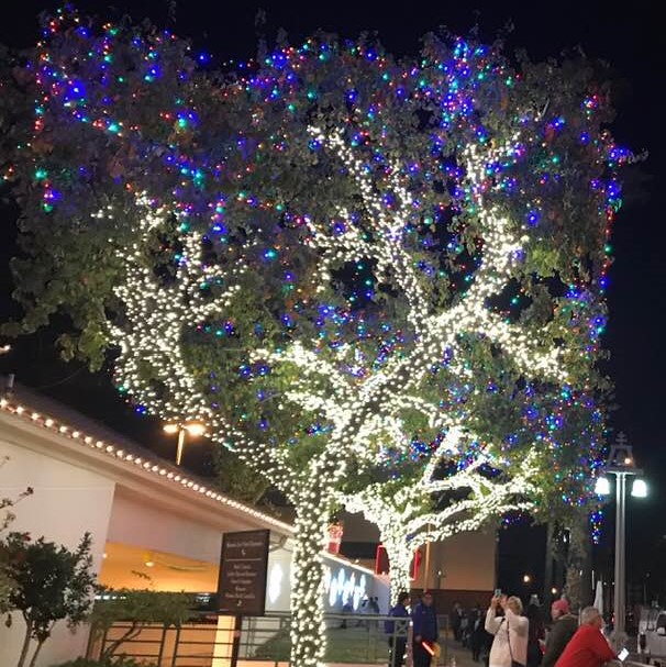 Holiday lighting displays around Riverside's Mission Inn, Photo 1