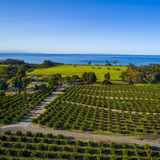 Las Veras Ranch gifted to UCSB: View