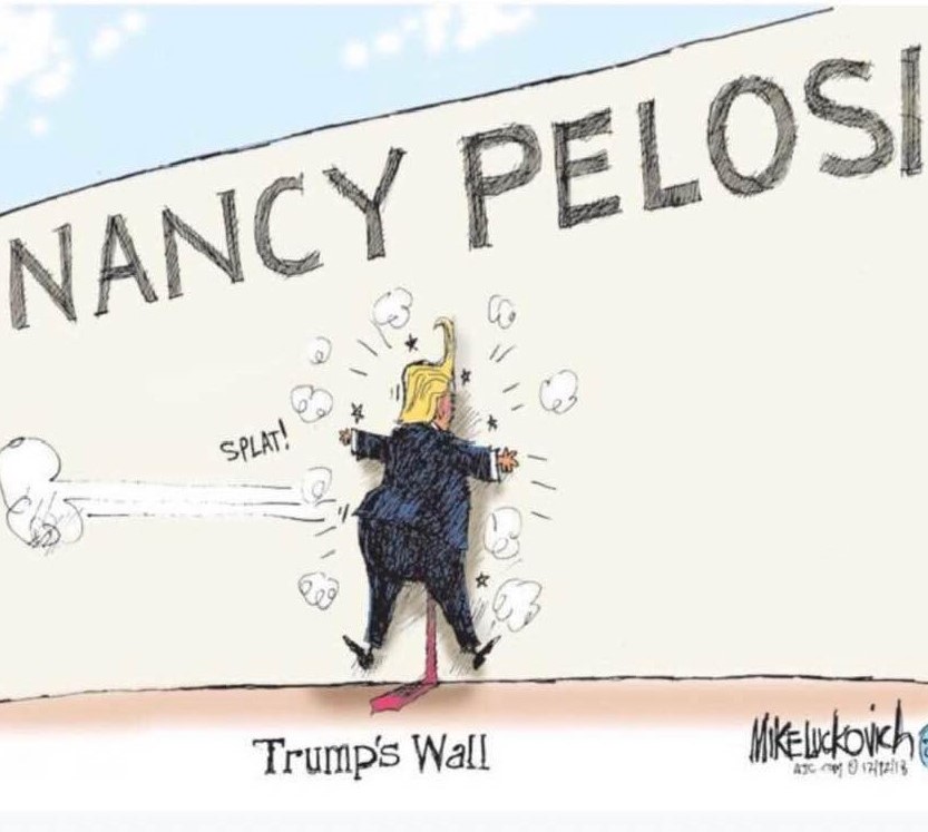 Cartoon: The Democrats finally give Trump a wall