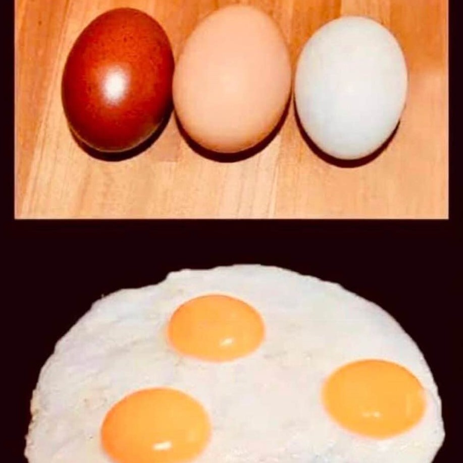 Colored eggshells: Apt image for educating racists