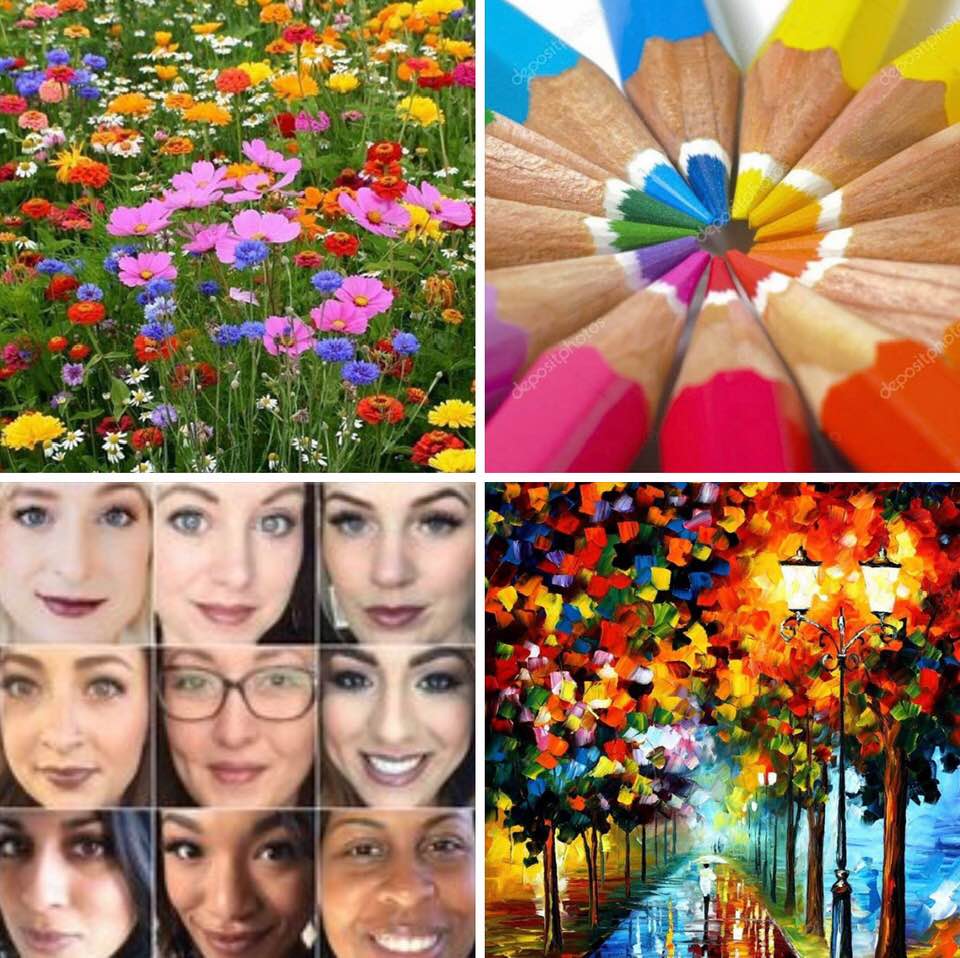 Colorful patterns, natural and artificial (photo montage)