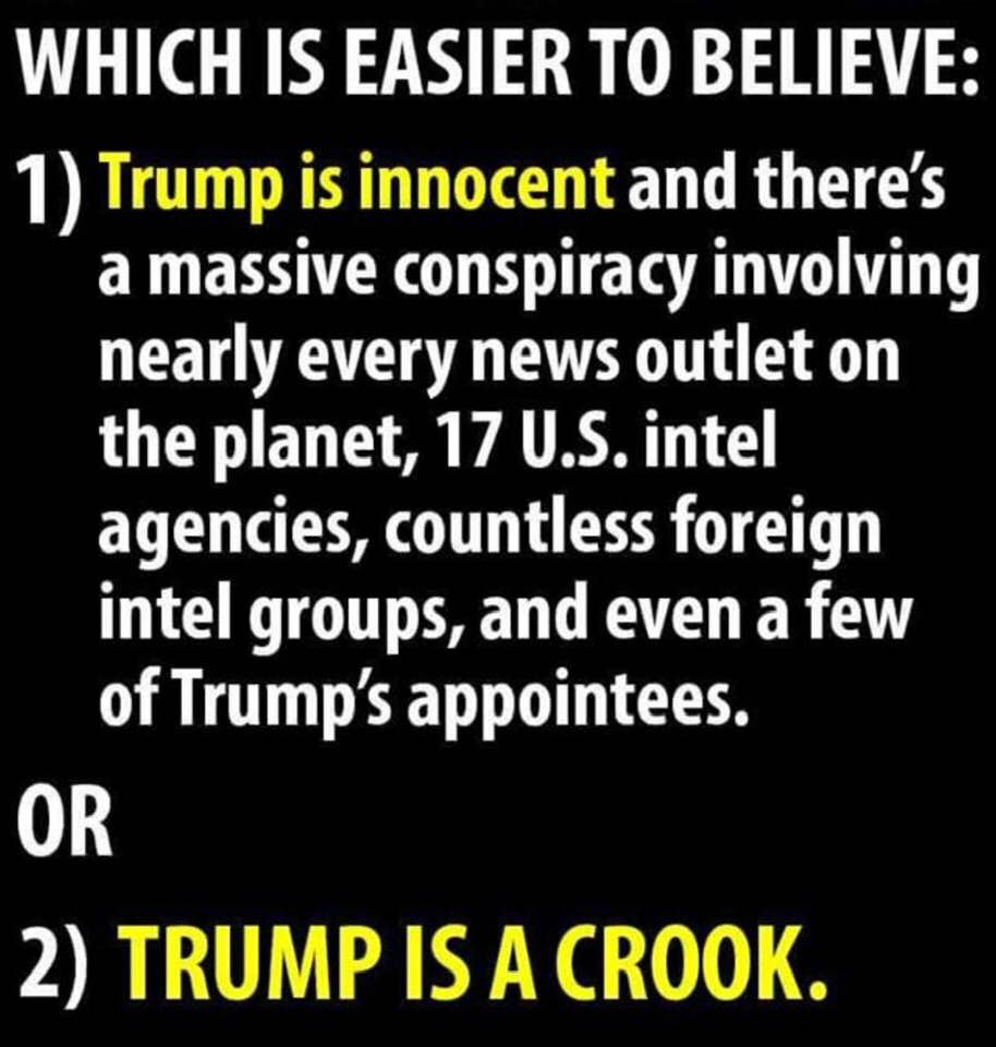 Meme of the day about Trump: Innocent or crook?
