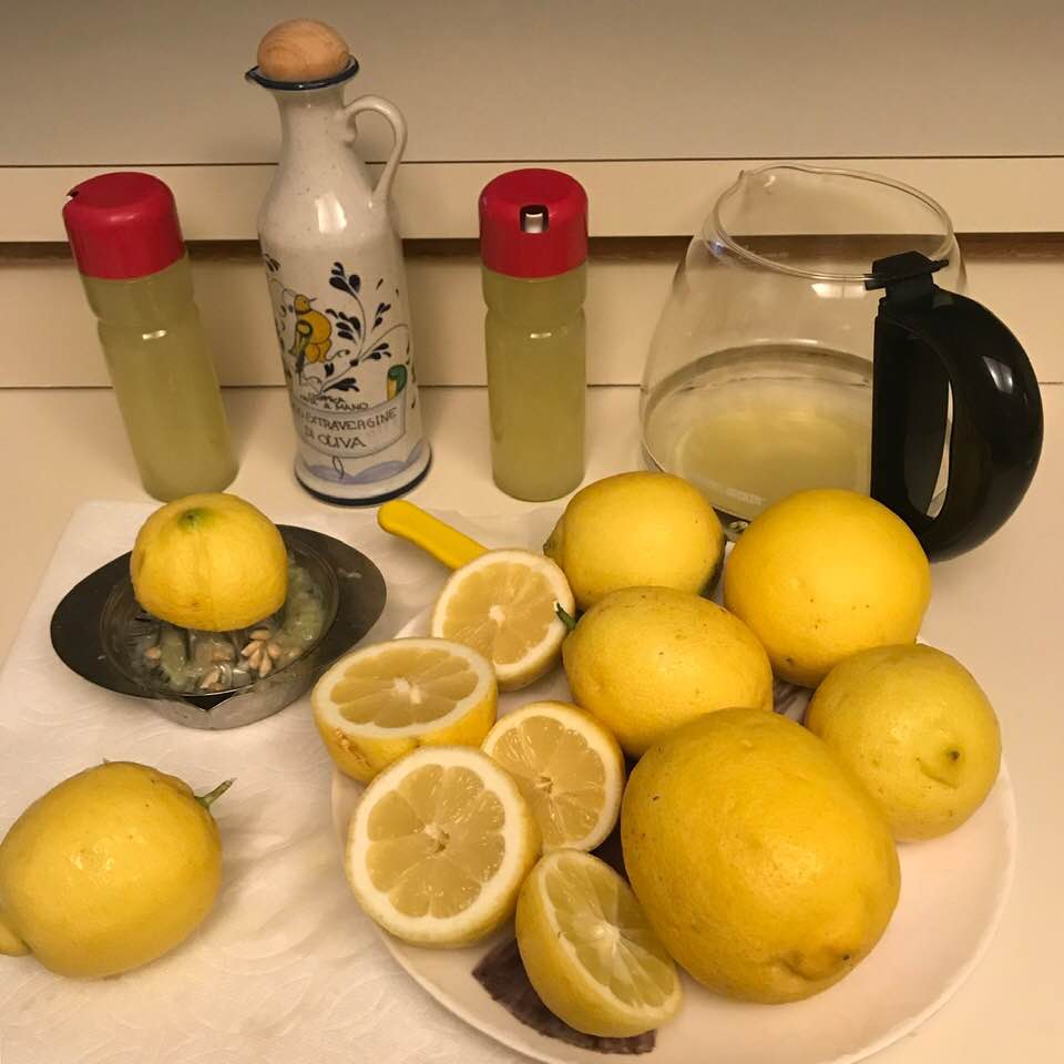 Juicing lemons, with plans to use the juice on salads and to make lemonade