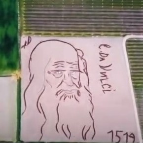 Italian artist plows a 10-square-miles portrait of Leonardo Da Vinci on a field, using a tractor, to honor the 500th anniversary of his death