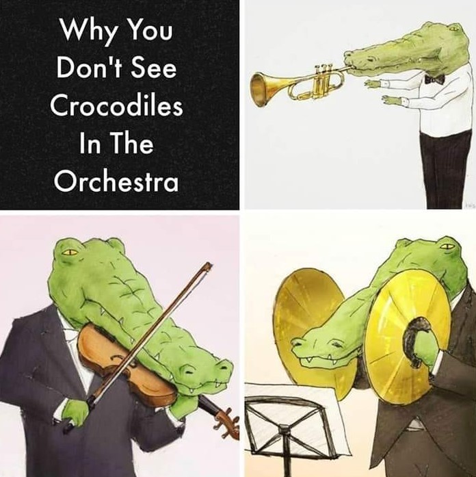Cartoon: Why you don't see crocodiles in the orchestra!
