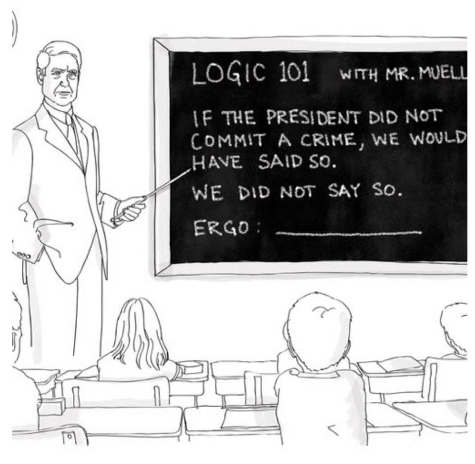  Cartoon: Mr. Mueller teaches Logic 101 to Americans and their spineless representatives!