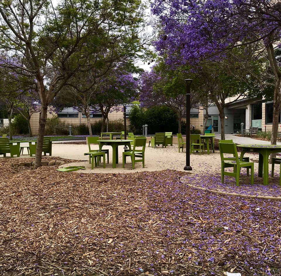 A beautiful, serene, and vastly underutilized outdoor area next to UCSB's Student Resource Building