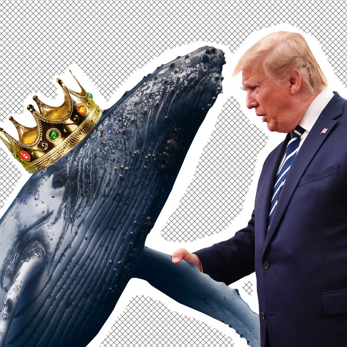 Trump tweets that his contacts with foreigners, such as 'Prince of Whales'
