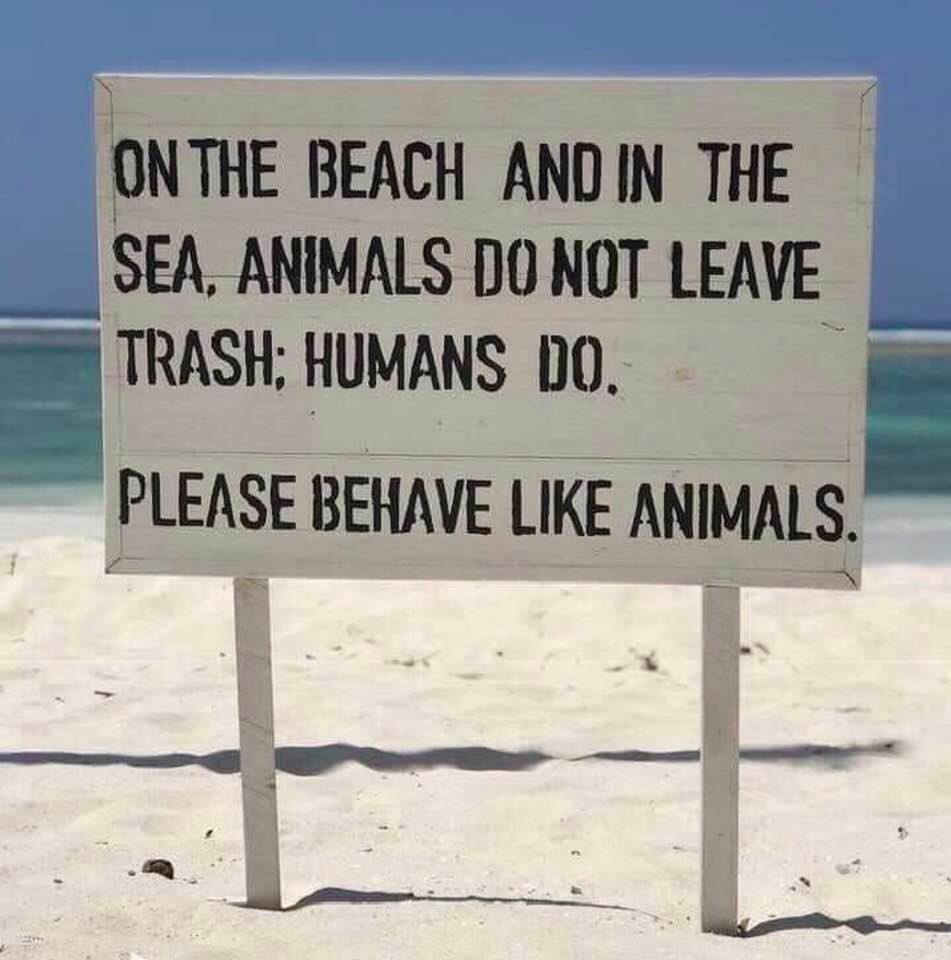 Please behave like animals: On the beach, it means the opposite of what you think!