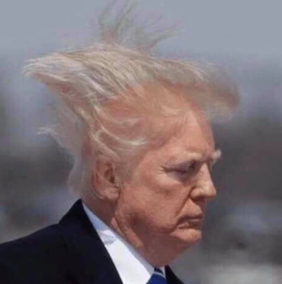 Photo of Donald Trump, with hair blowing in the wind