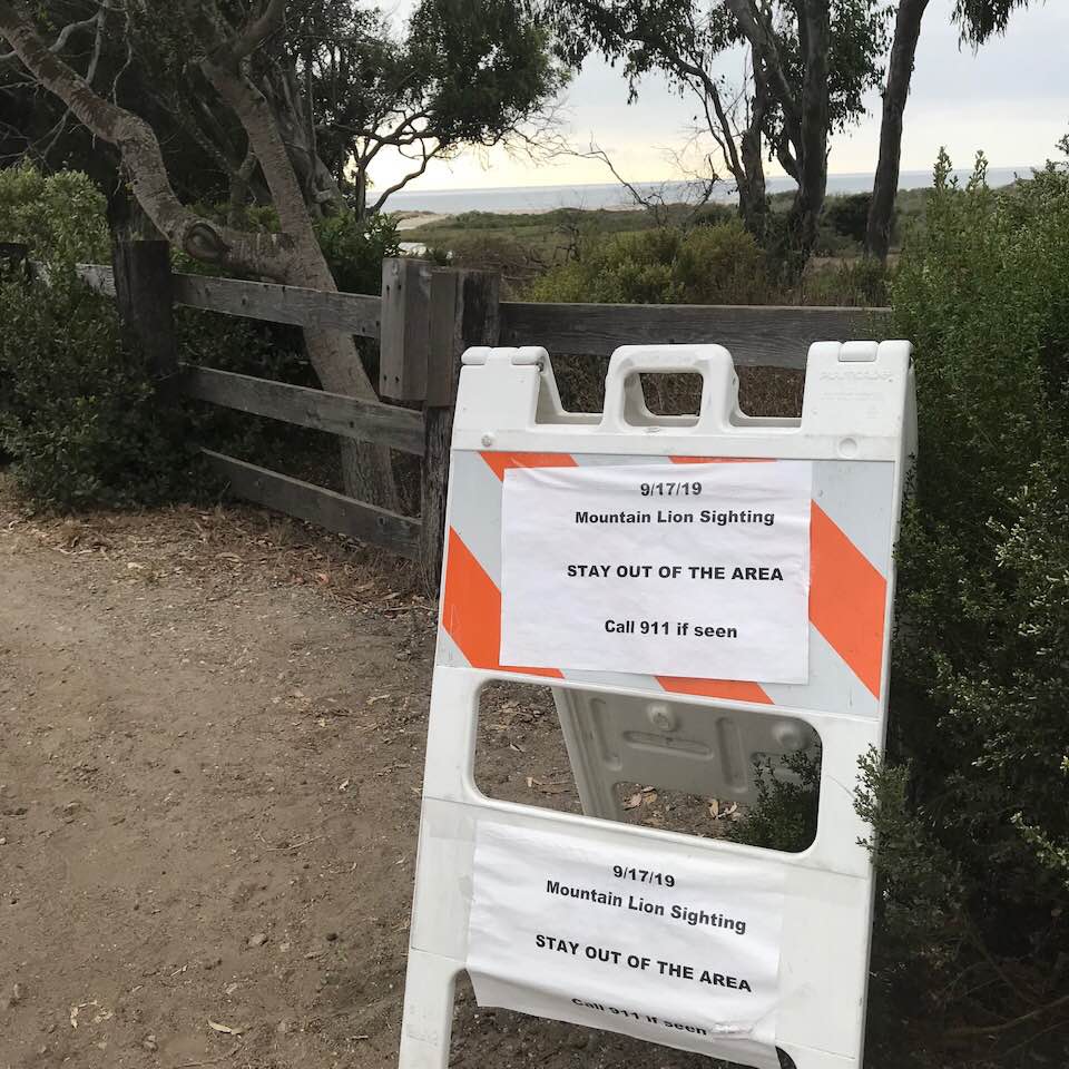 Sign warning about mountain-lion sightings at Coal Oil Point