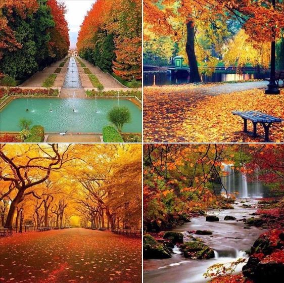 Amazing fall colors: 4 photos