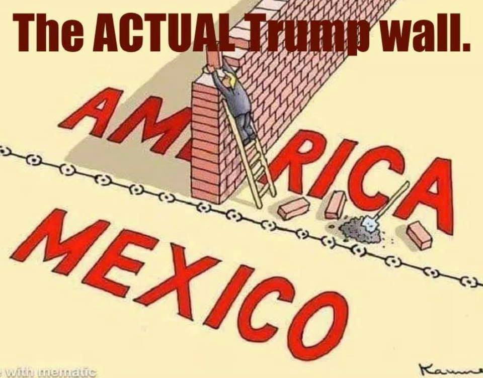 Cartoon: The wall that Trump has built