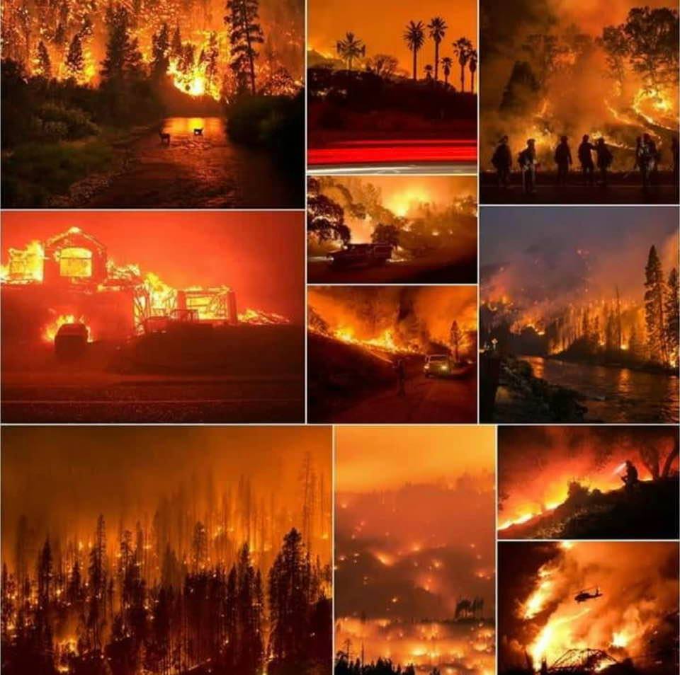 A collage of photos from fires raging in California
