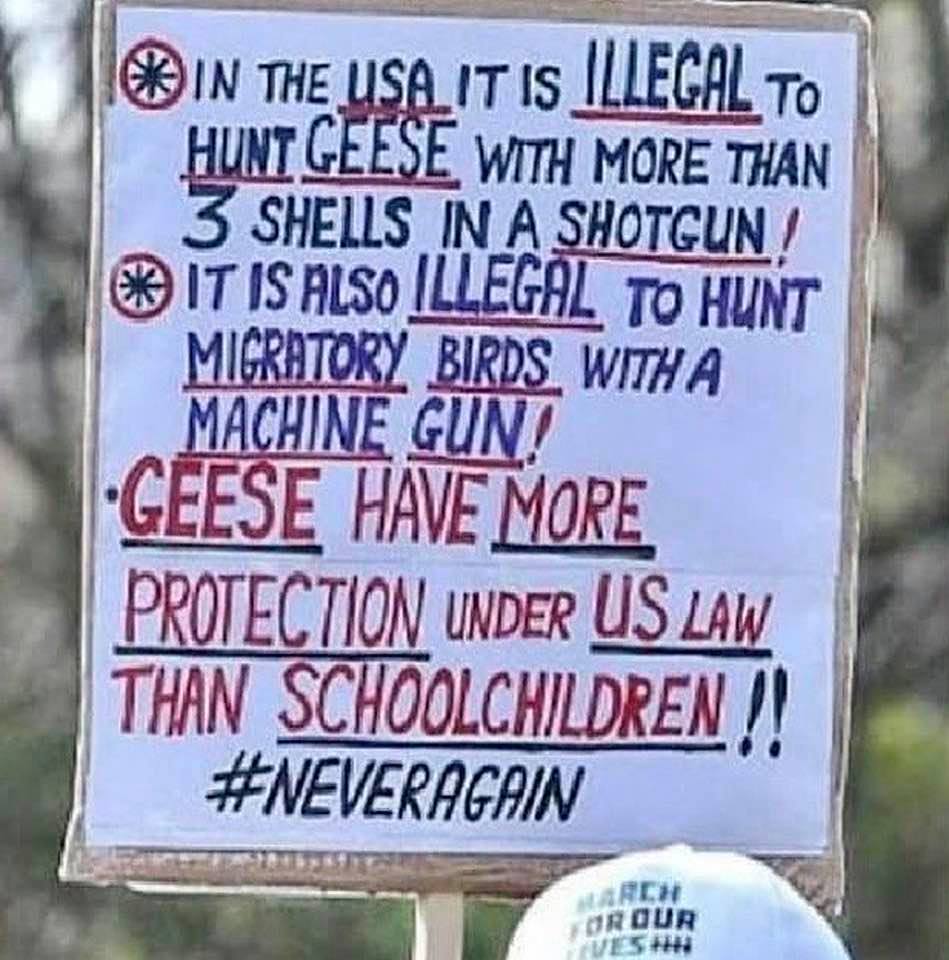 Protest sign: According to US gun laws, geese have more protections than children