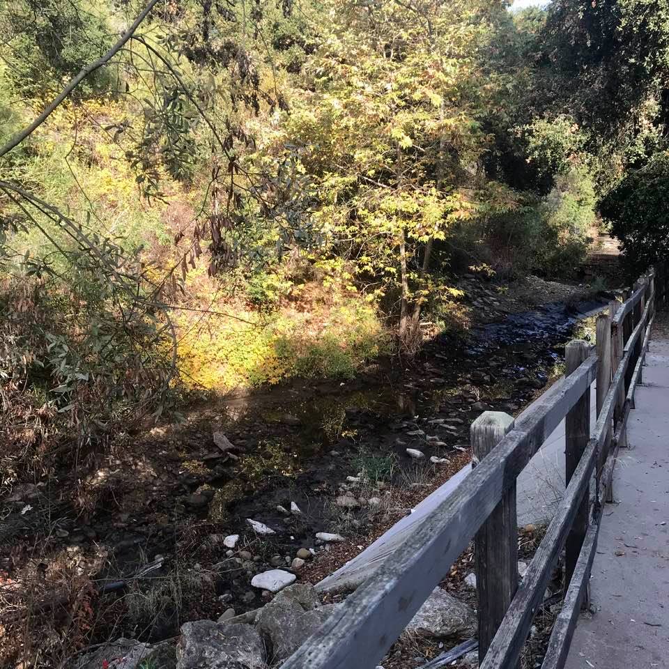 Goleta's Maria Ygnacio Creek