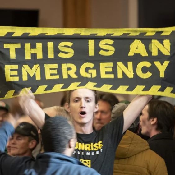 Thousands of scientists (11,258, to be exact) warn about a clear and unequivocal climate emergency