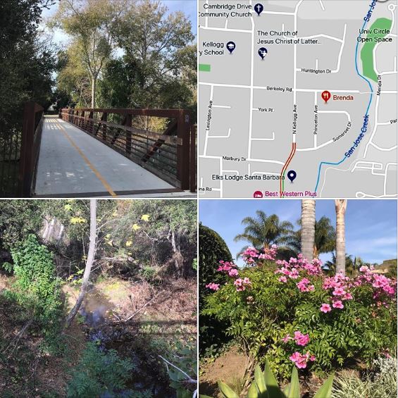 Photos from my afternoon stroll along Goleta's San Jose Creek