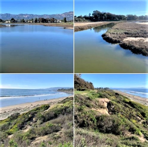 UCSB North Campus Open Space and the beautiful Ellwood Bluffs: Batch 1 of photos